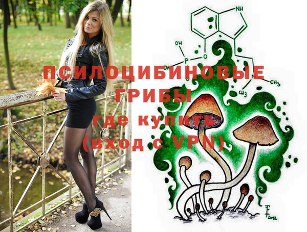 а пвп мука Бородино