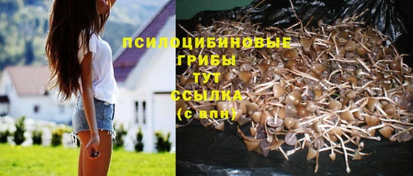 прущий лед Бронницы