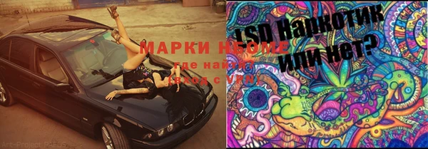 а пвп мука Бородино