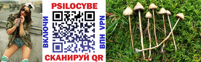 где купить наркотик Венёв Псилоцибиновые грибы Psilocybine cubensis